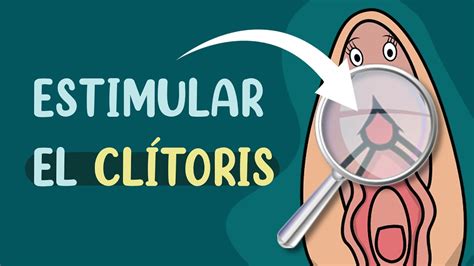 como tocar un clitoris|Clítoris: qué es, dónde está y cómo estimular el ...